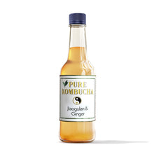Load image into Gallery viewer, HAND CRAFTED PURE KOMBUCHA- JIAOGULAN & GINGER/ 500ML