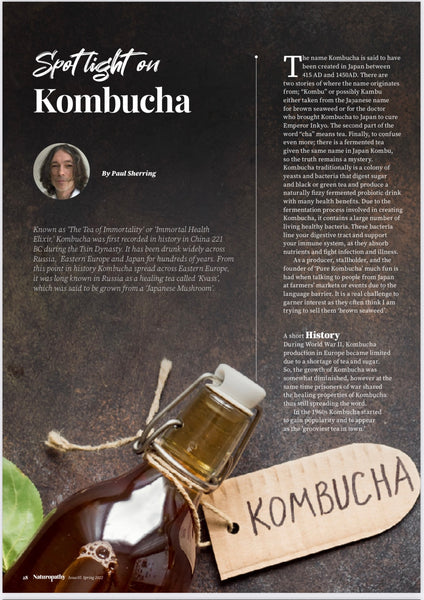 Spotlight of Kombucha