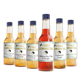 HAND CRAFTED PURE KOMBUCHA COLLECTION BOX (6 BOTTLES)