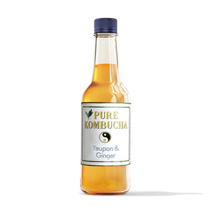 HAND CRAFTED PURE KOMBUCHA- YAUPON & GINGER/ 500ML