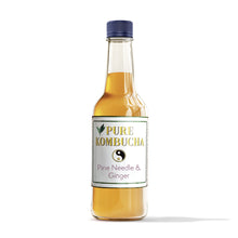 Load image into Gallery viewer, HAND CRAFTED PURE KOMBUCHA- PINE NEEDLES &amp; GINGER/ 500ML
